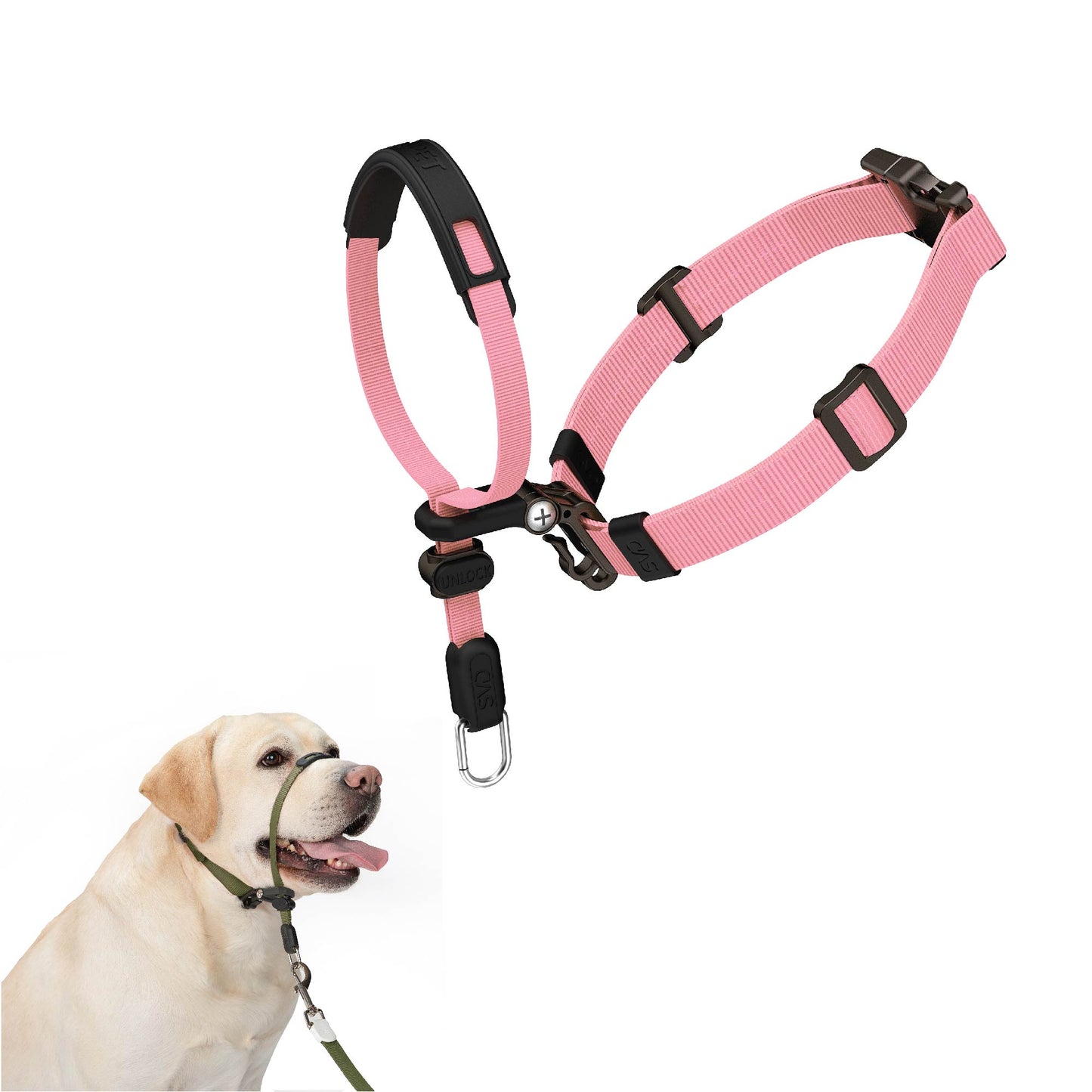 Dog Headcollar