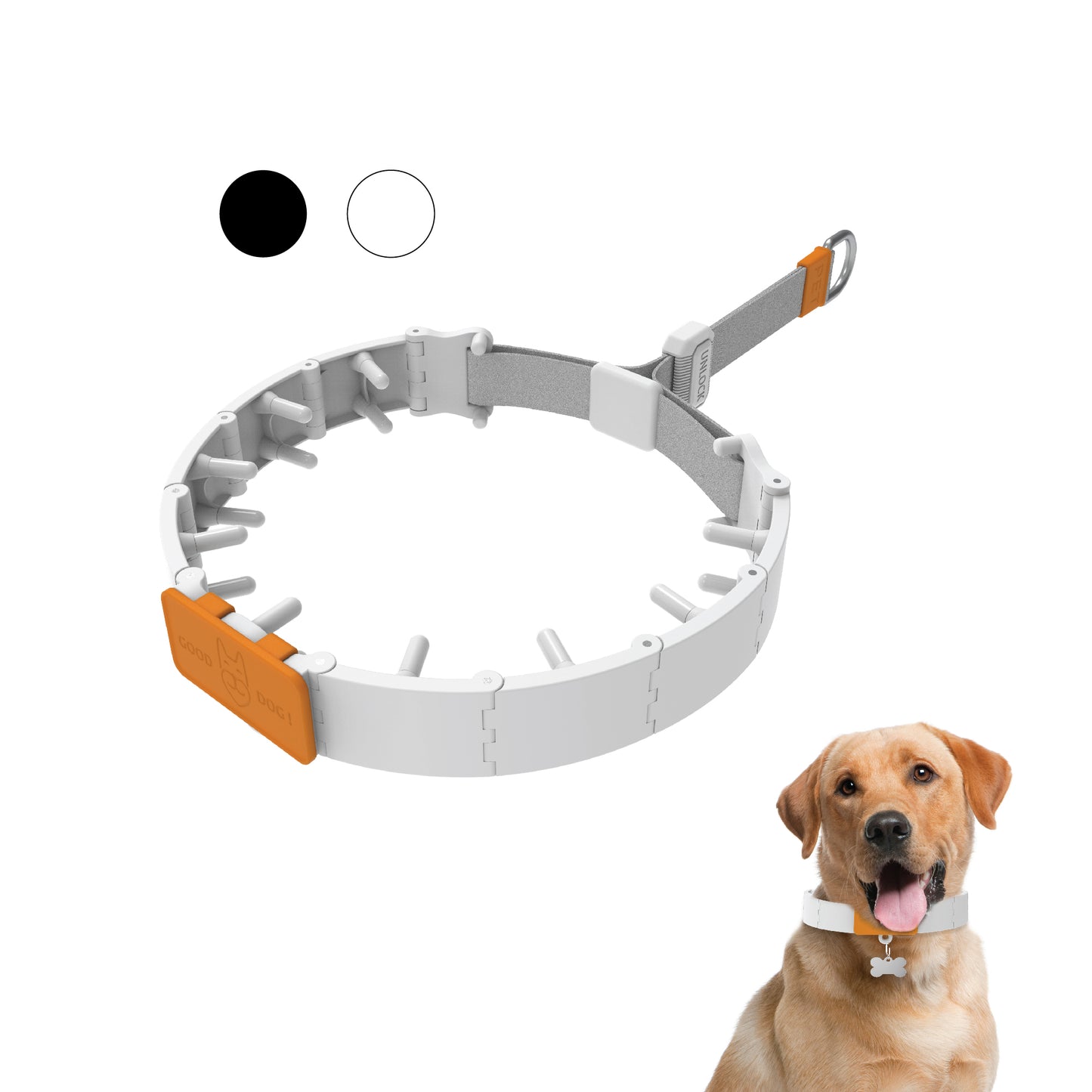 Dog Training Prong Collar