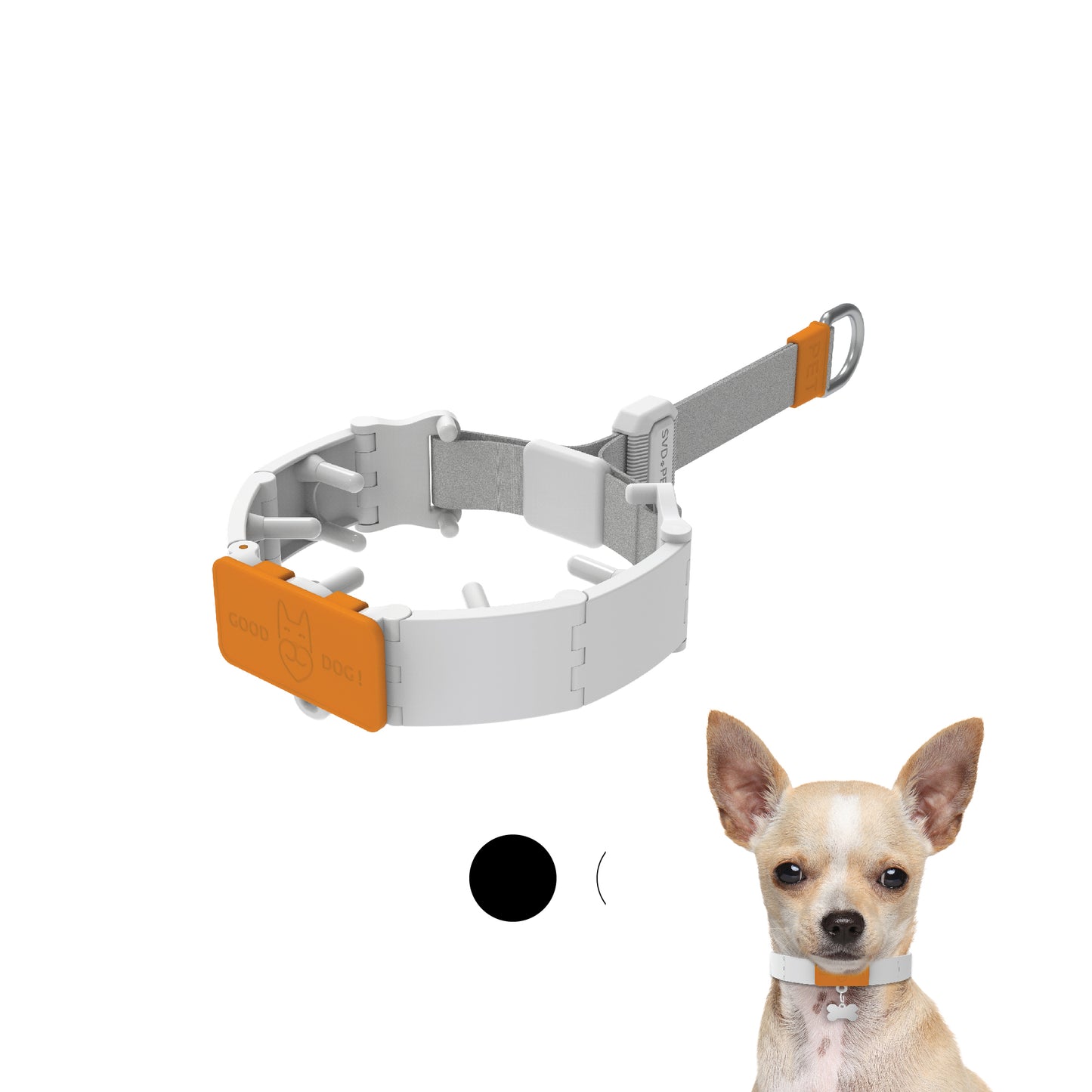 Dog Training Prong Collar
