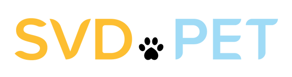 Silicon Valley Devices