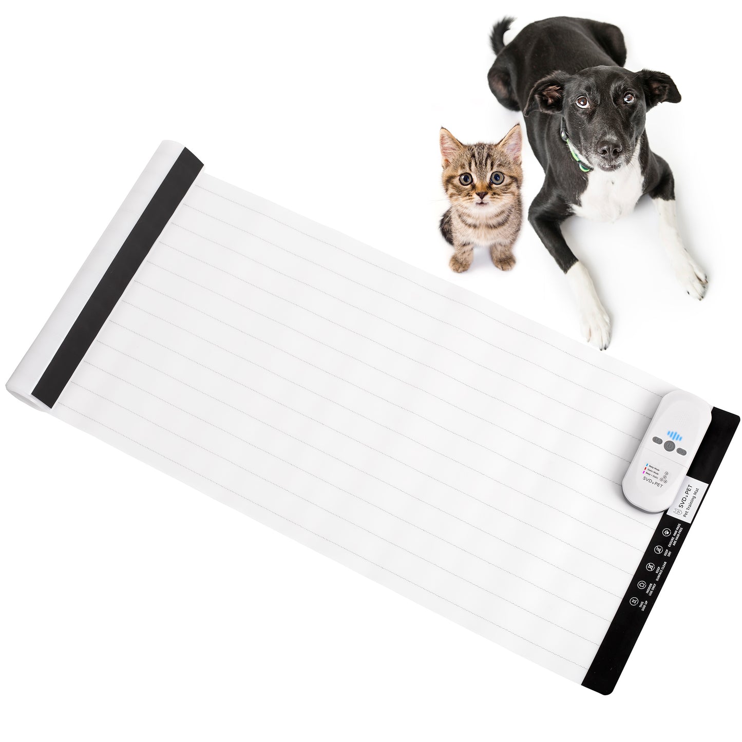 Electronic Training Mat