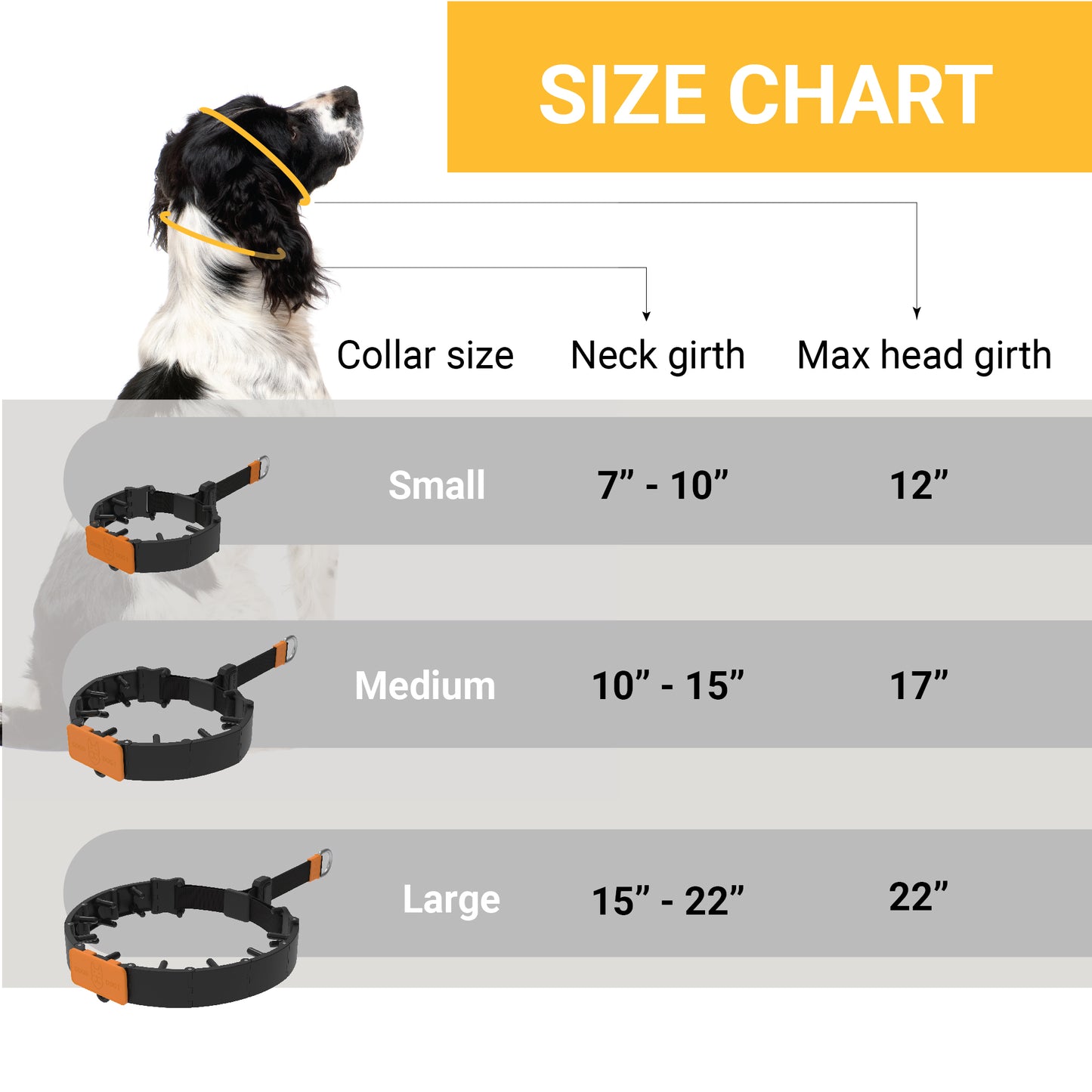 Dog Training Prong Collar