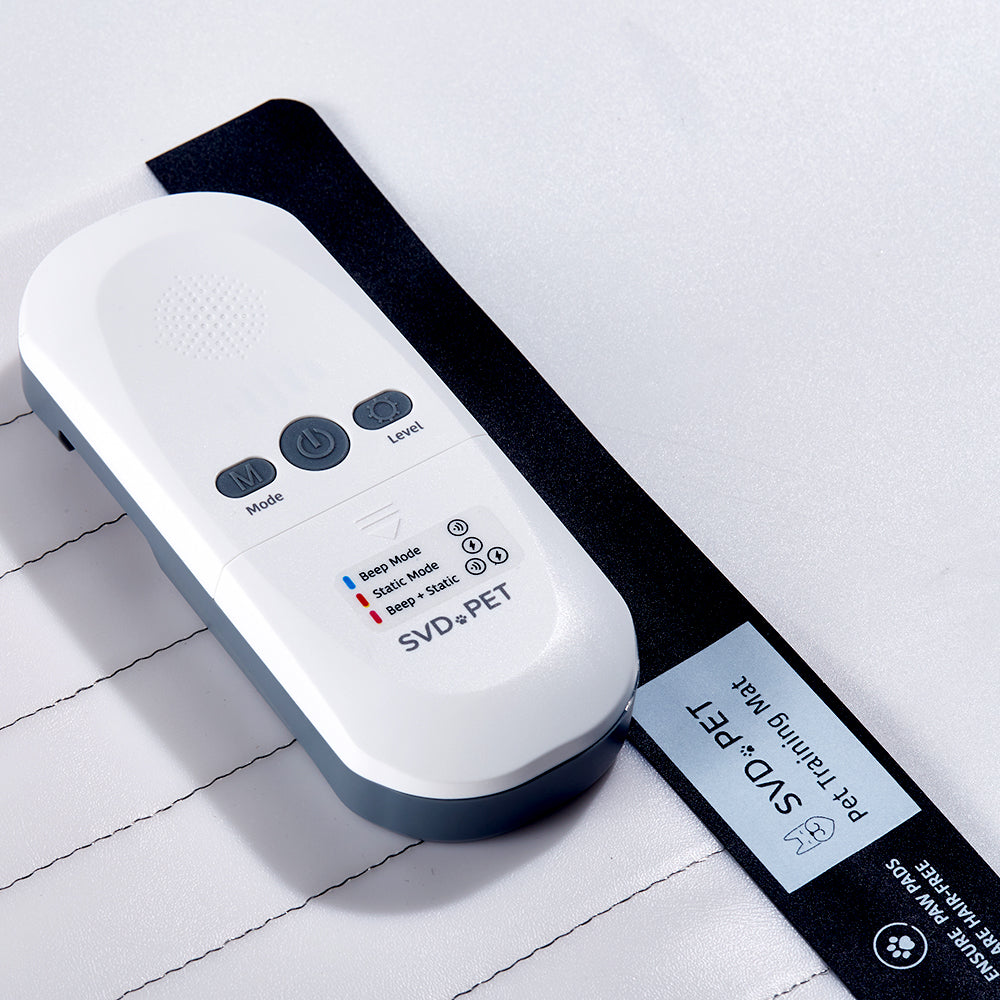 Electronic Training Mat