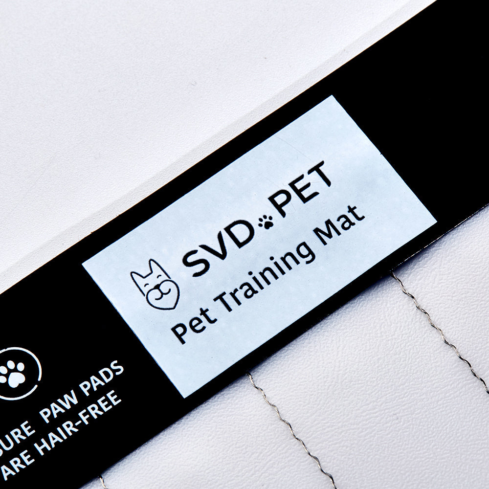 Electronic Training Mat
