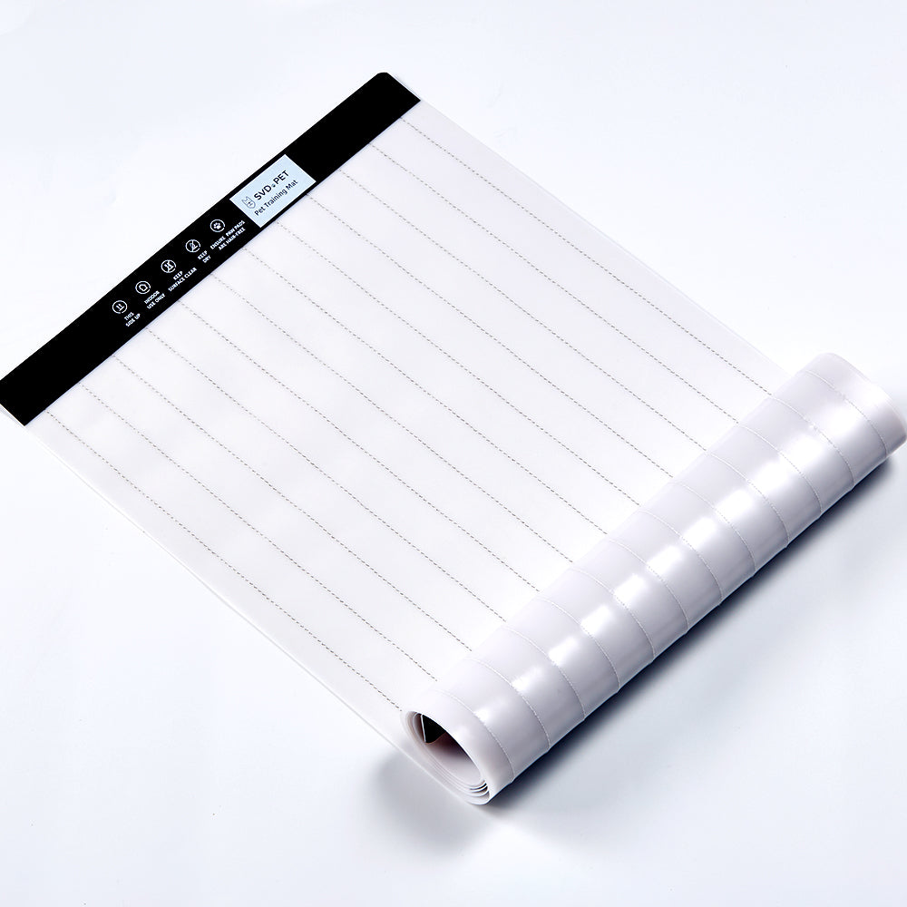 Electronic Training Mat