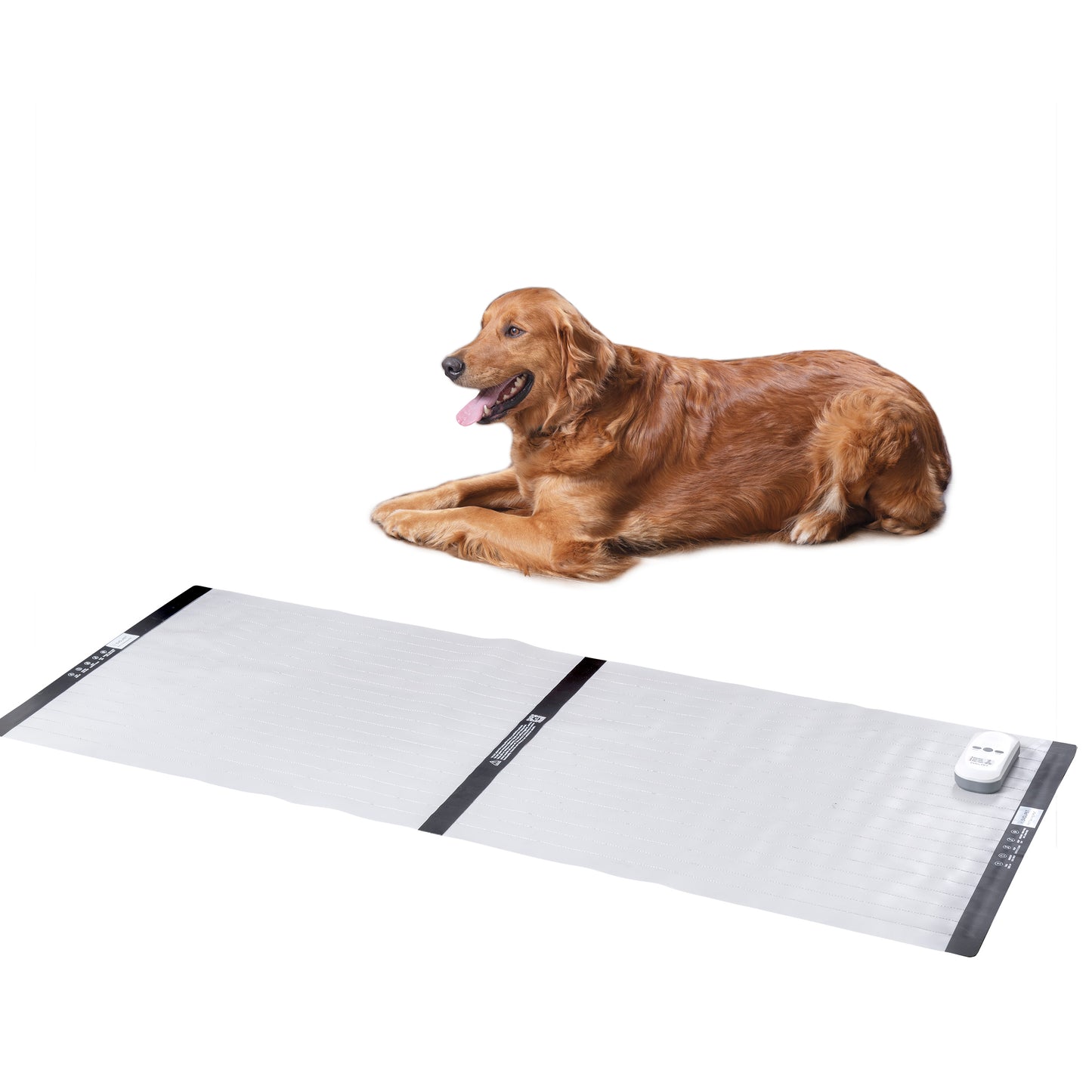 Electronic Training Mat