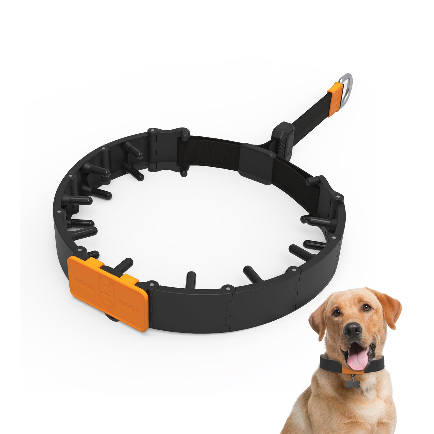 Dog Training Prong Collar