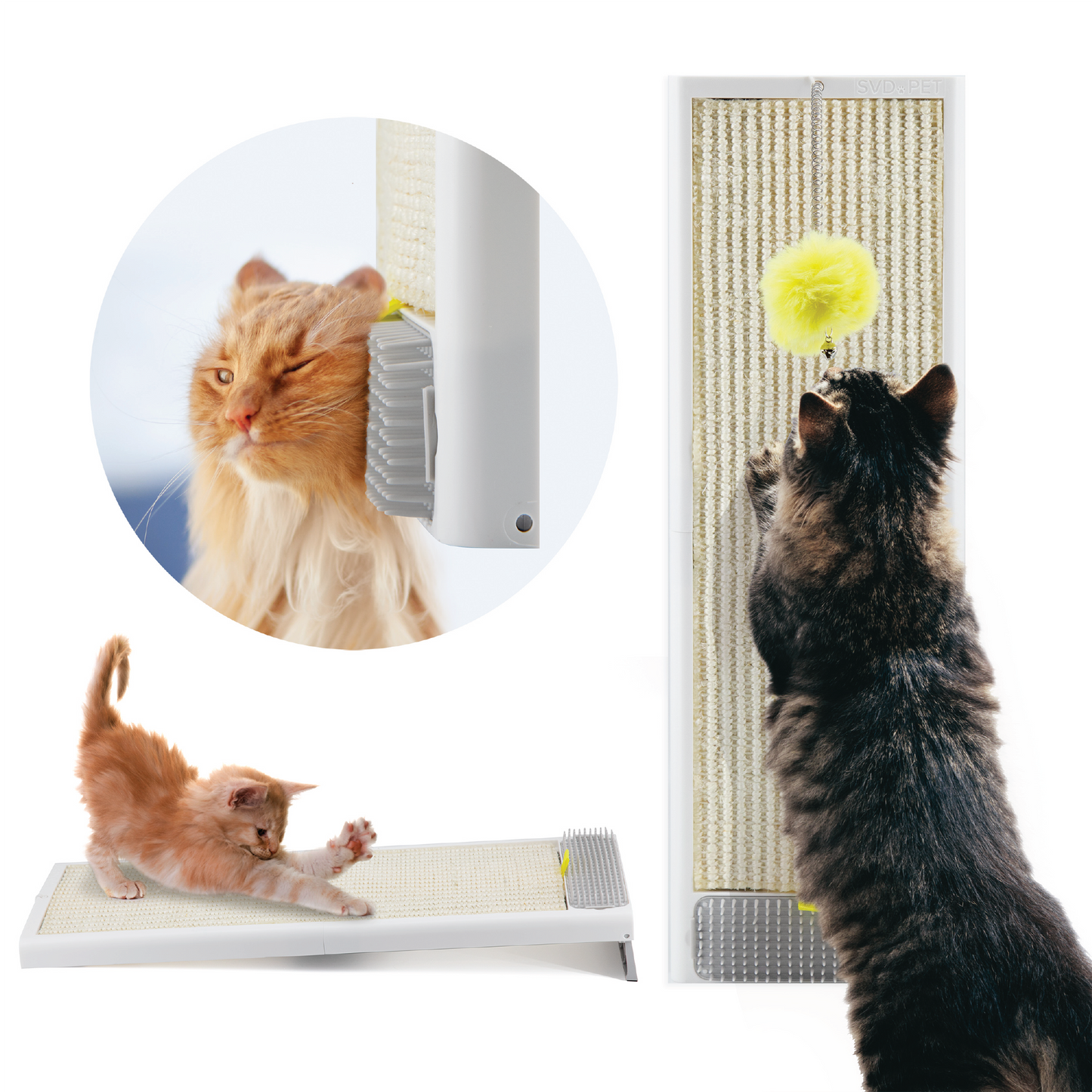 Cat Scratching Board