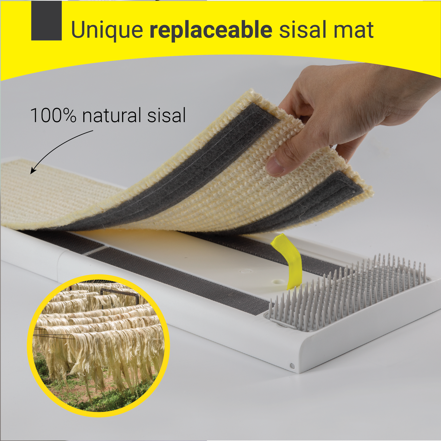 Cat Scratching Board