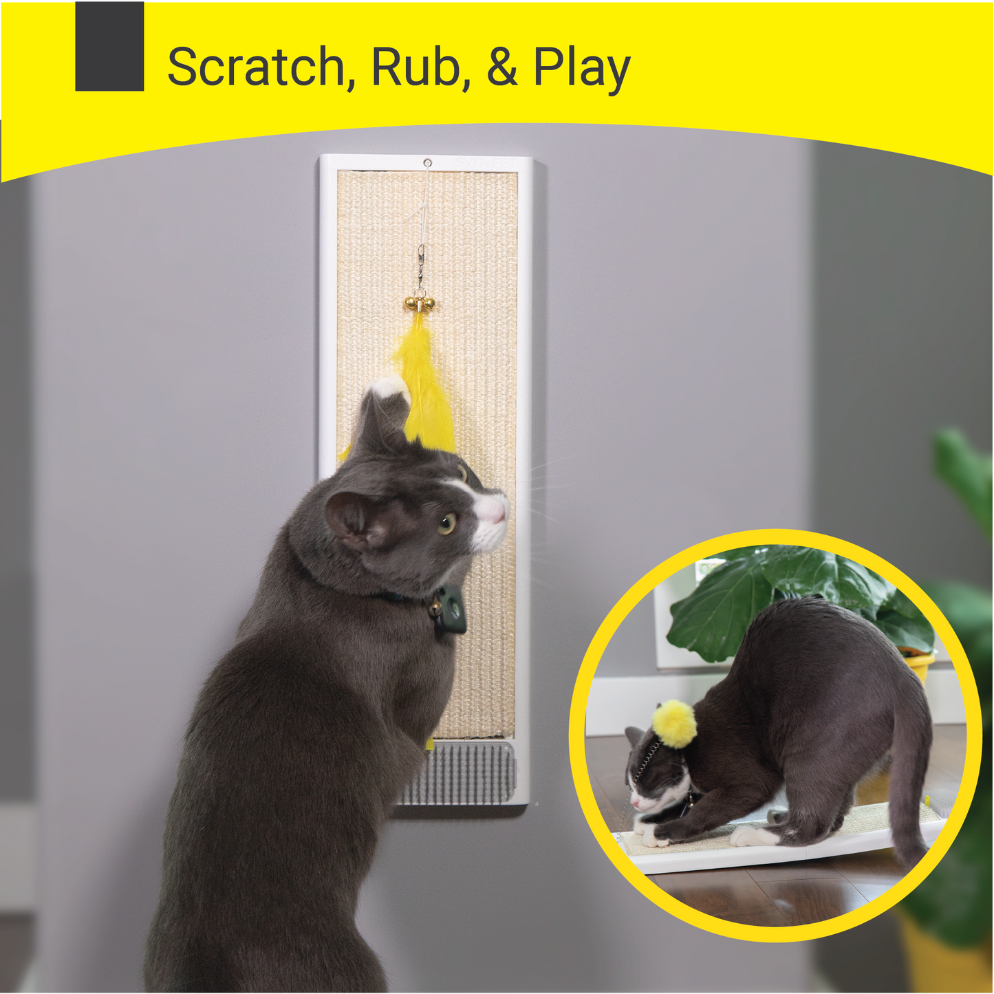 Cat Scratching Board