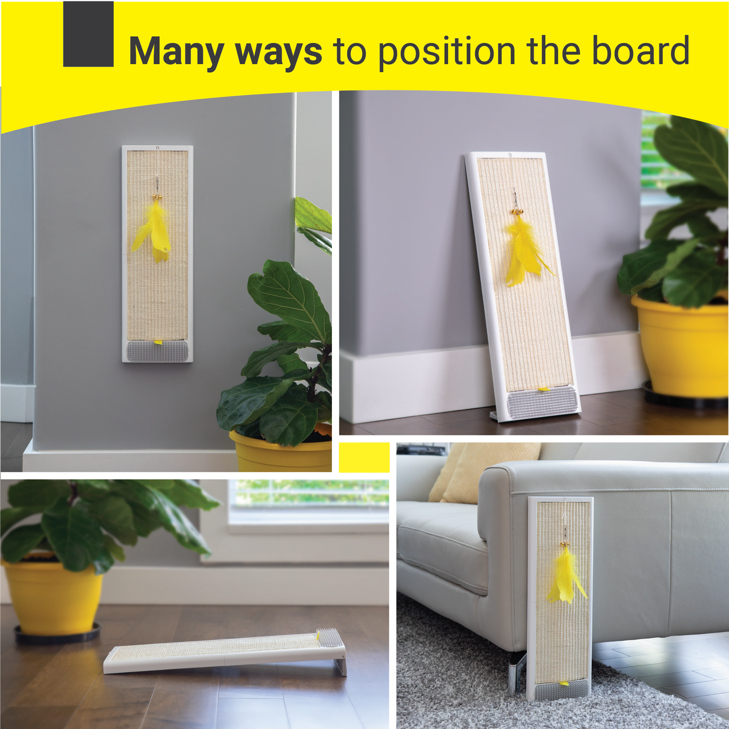 Cat Scratching Board