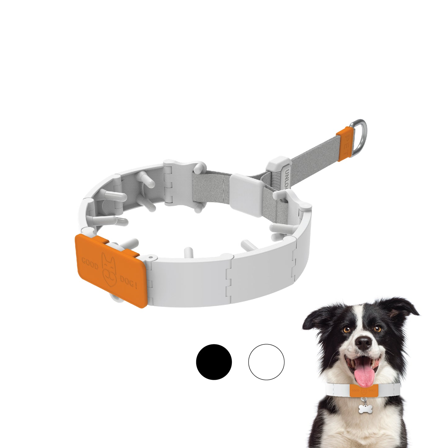 Dog Training Prong Collar