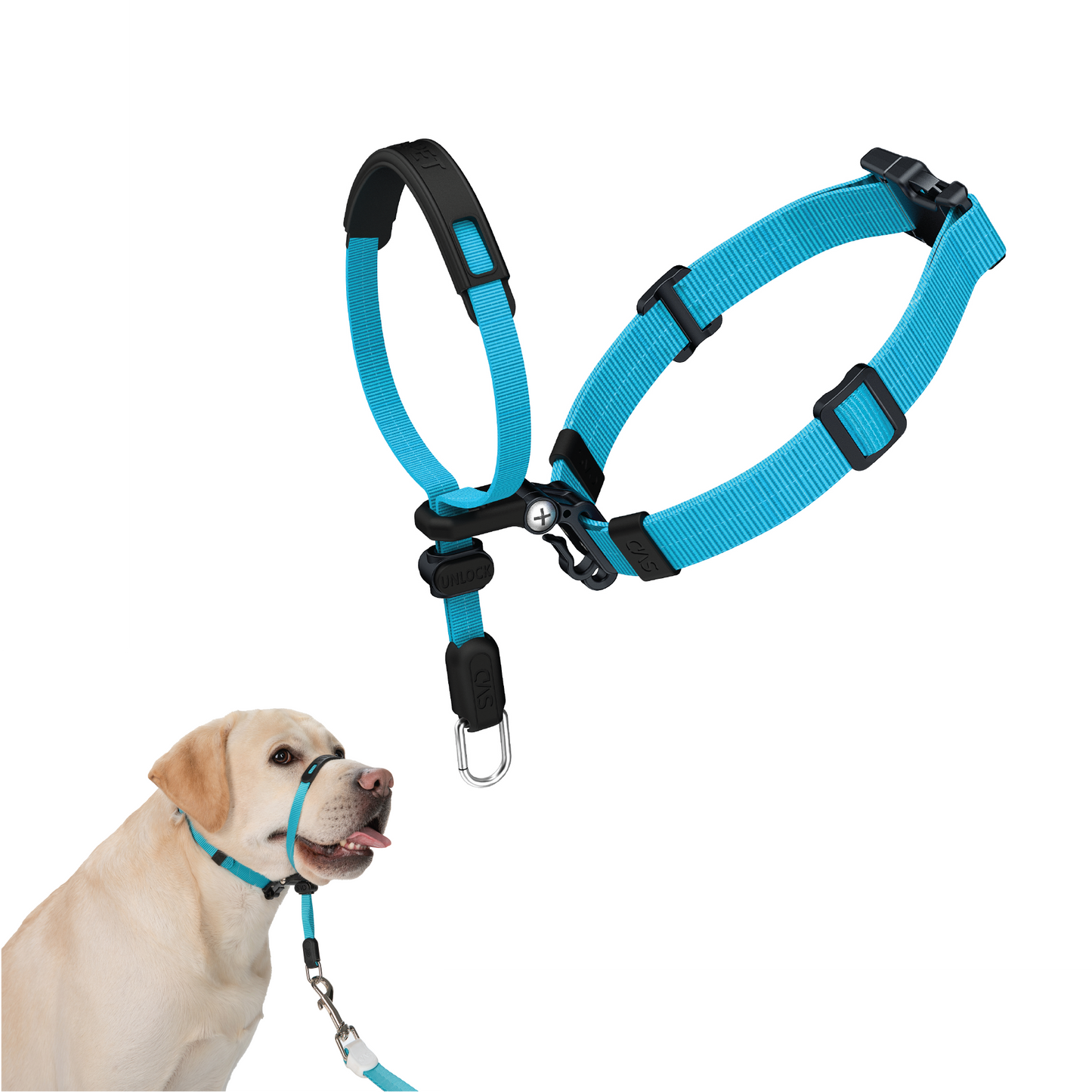 Dog Headcollar