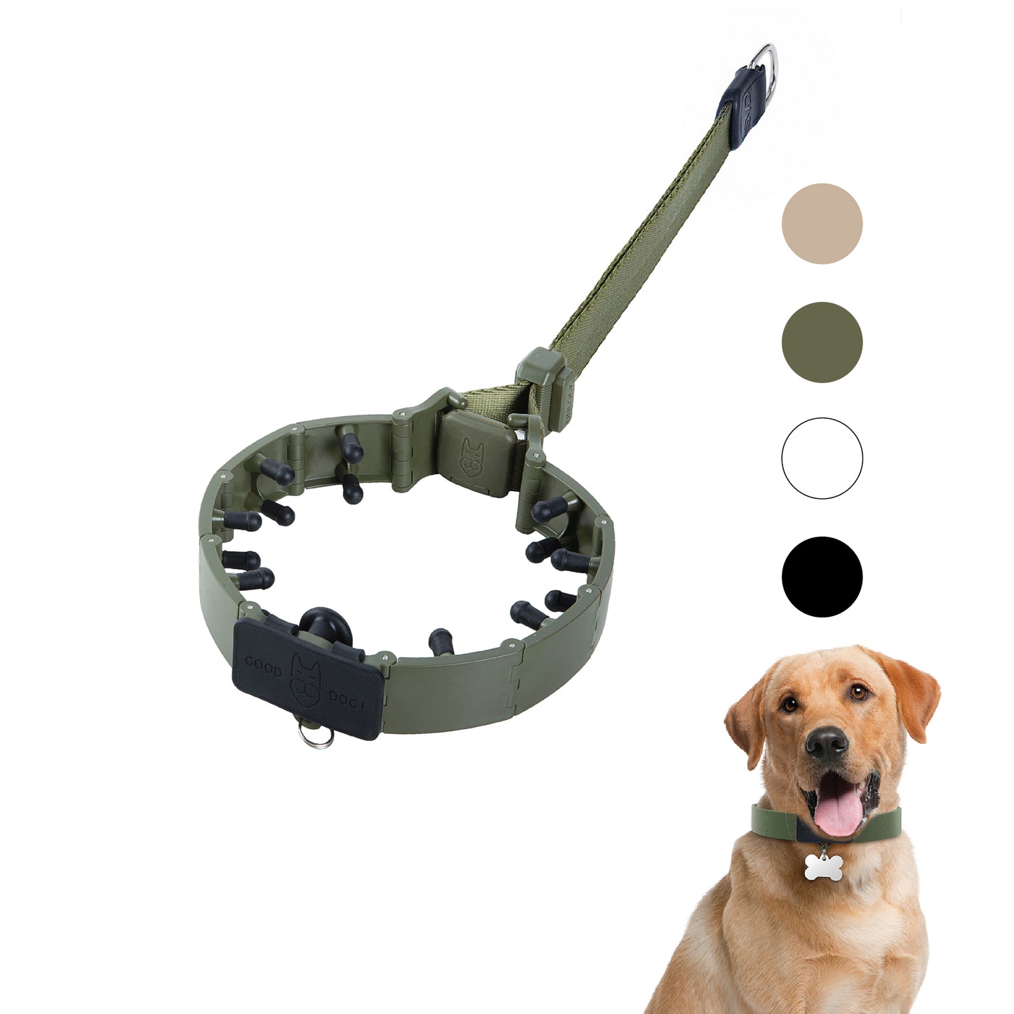 Dog Training Prong Collar