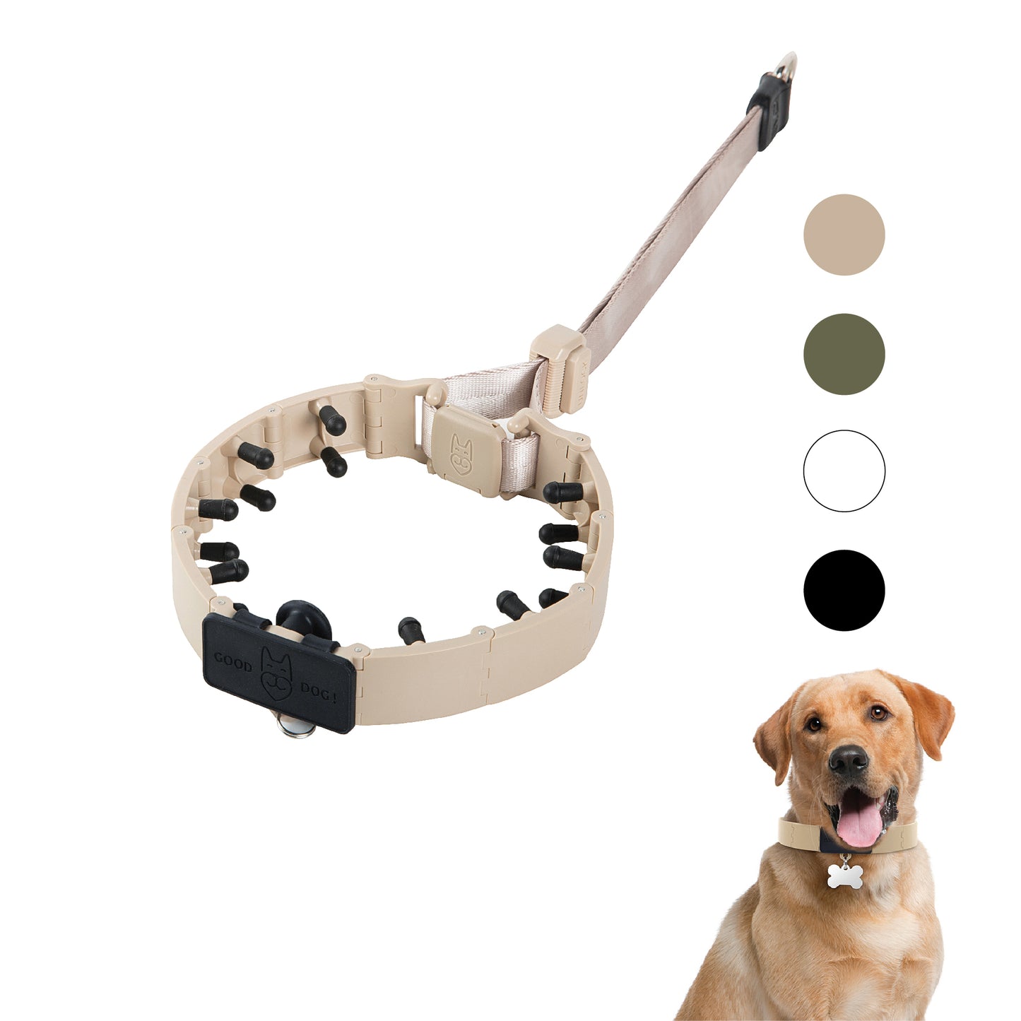 Dog Training Prong Collar