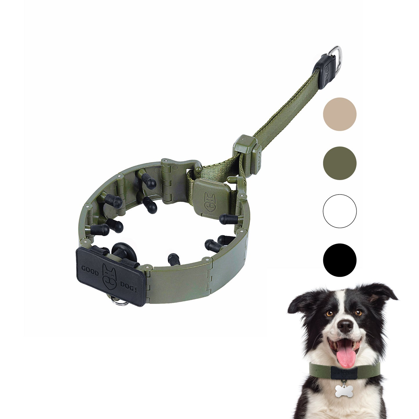 Dog Training Prong Collar