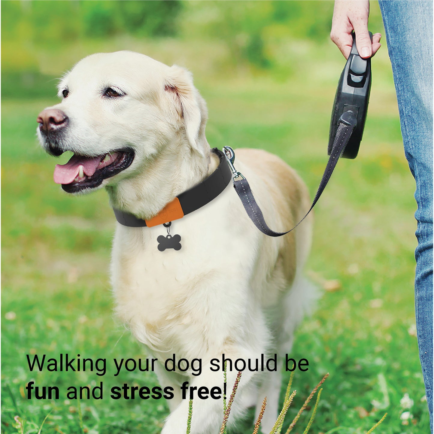 Dog Training Prong Collar