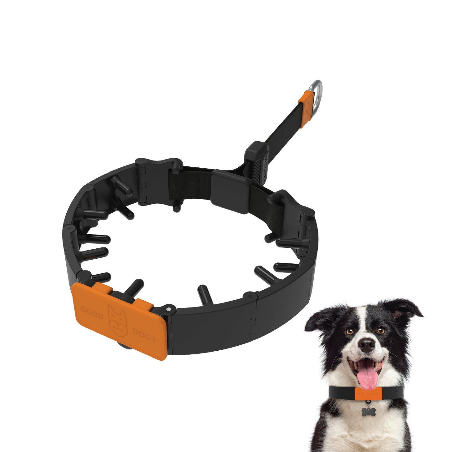 Dog Training Prong Collar